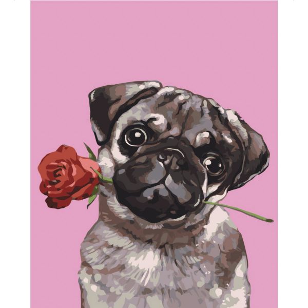 Картина за номерами Strateg ПРЕМІУМ Мопс із розою з лаком розміром 30х40 см SS-6403
