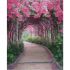 Алмазна картина Strateg ПРЕМІУМ Квітковий тунель розміром 40х50 см FA40903
