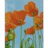 Алмазна мозаїка Strateg ПРЕМІУМ Маки у небі розміром 40х50 см (D0017)