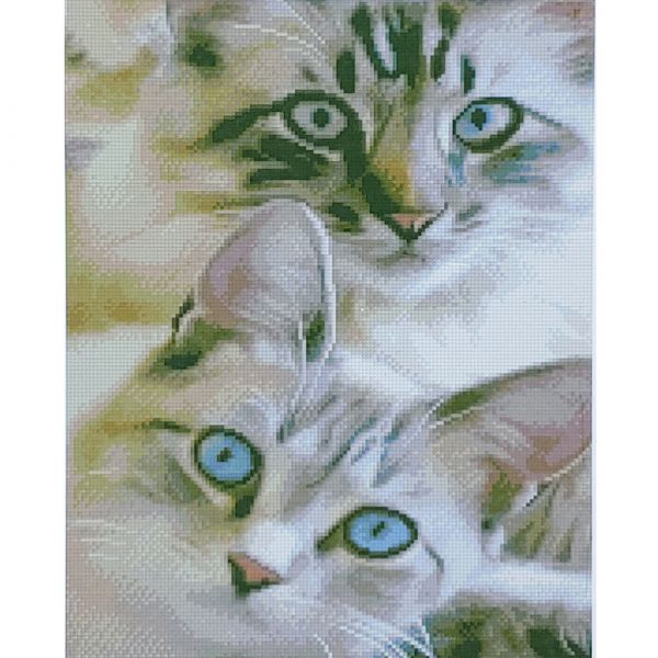 Алмазна мозаїка Strateg ПРЕМІУМ Погляд котиків розміром 40х50 см (D0043)