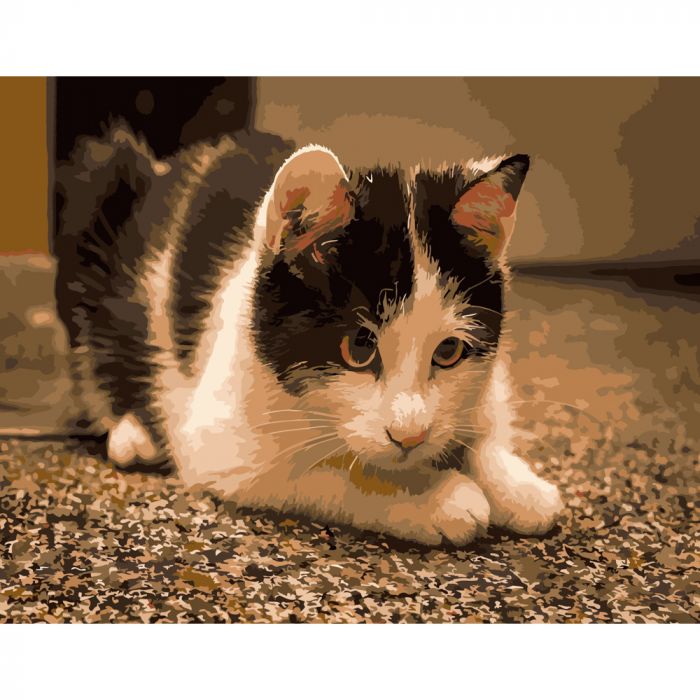 Набір для розпису по номерах Грайливий котик Strateg розміром 40х50 см (DY083)