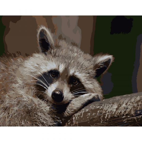 Набір для розпису по номерах Сумний єнотик Strateg розміром 40х50 см (DY087)