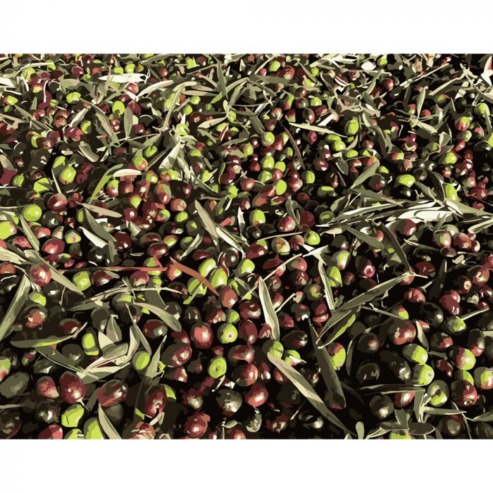 Набір для розпису по номерах Соковитий кизил Strateg розміром 40х50 см (DY123)