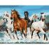 Картина за номерами Strateg ПРЕМІУМ Браві коні розміром 40х50 см (GS140)