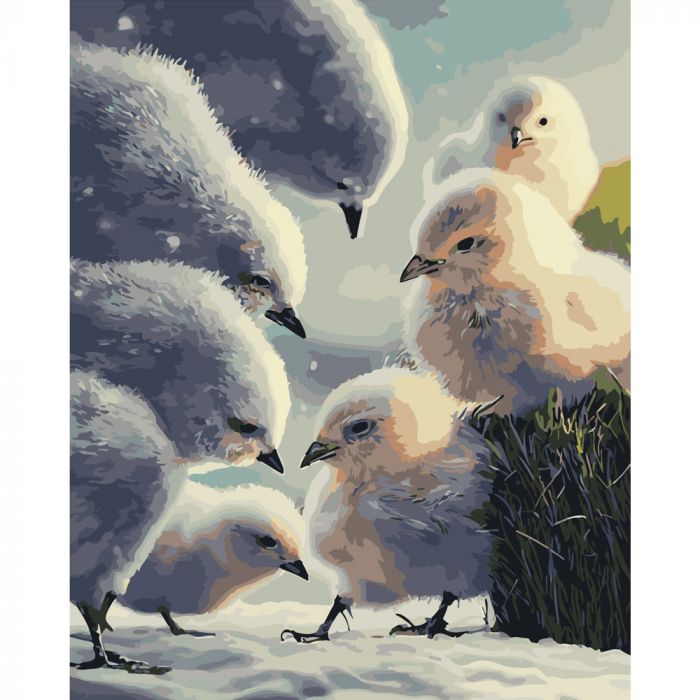 Набір для розпису по номерах Пернаті друзі Strateg розміром 40х50 см (GS253)