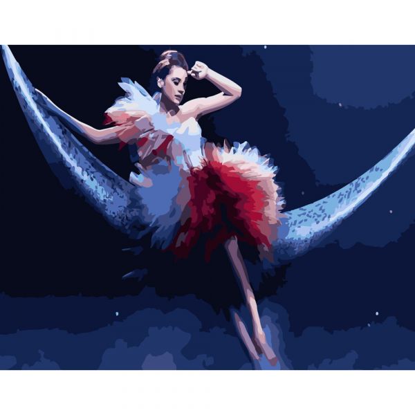 Набір для розпису по номерах Нічний танок Strateg розміром 40х50 см (GS302)