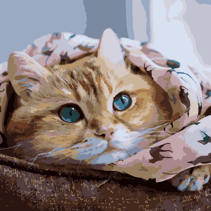 Картина за номерами Strateg ПРЕМІУМ Руде кошеня розміром 40х40 см (SK040)