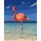Картина за номерами Strateg ПРЕМІУМ Рожевий фламінго розміром 40х50 см (GS455)