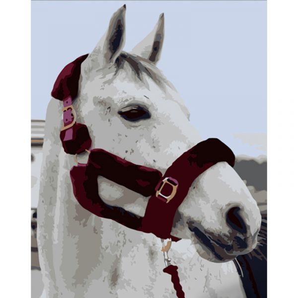 Набір для розпису по номерах Душа прерій Strateg розміром 40х50 см (DY382)