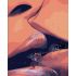 Набір для розпису по номерах Ніжність поцілунка Strateg розміром 40х50 см (DY419)