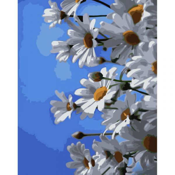 Набір для розпису по номерах Ромашки та небо Strateg розміром 40х50 см (GS1067)