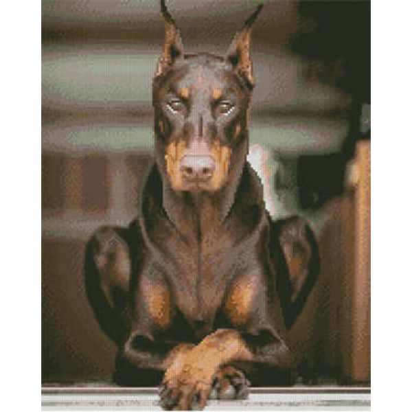 Алмазна картина Strateg ПРЕМІУМ Коричневий доберман розміром 40х50 см (L-124)