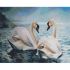 Алмазна картина Strateg ПРЕМІУМ Лебедина пара розміром 40х50 см (L-329)