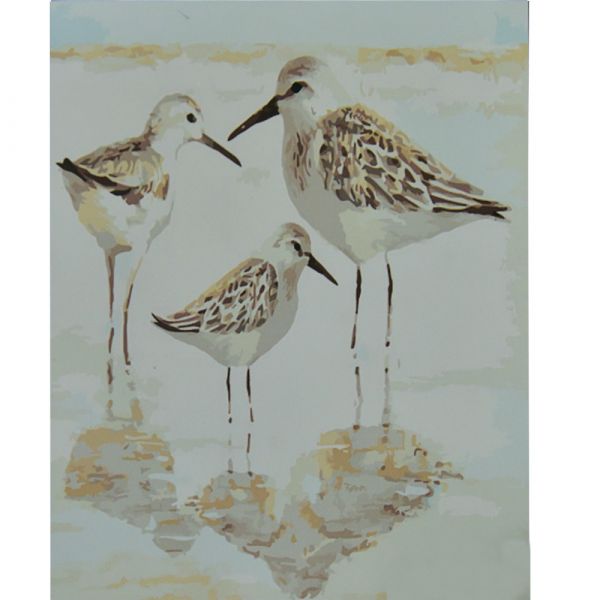 Картина за номерами Strateg   Сім'я куликів розміром 50х50 см (АА011)