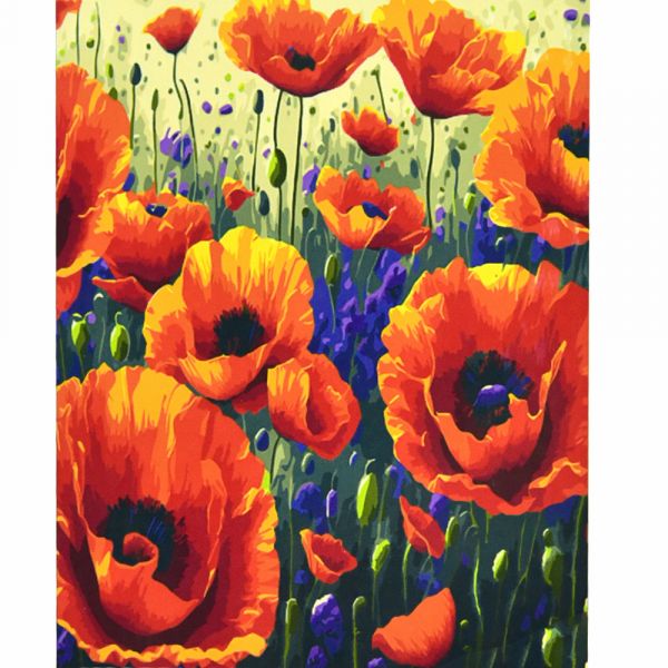 Картина за номерами Strateg   Поле маків розміром 50х50 см (АА021)