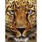 Алмазна мозаїка Strateg ПРЕМІУМ Гепард без підрамника розміром 30х40 см  (JSDF79613)