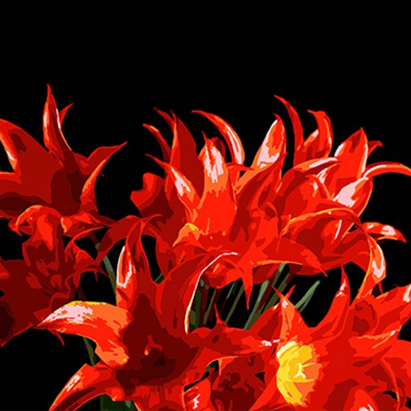 Набір для розпису по номерах Букет червоних тюльпанів Strateg на чорному фоні розміром 40х40 см (AV4
