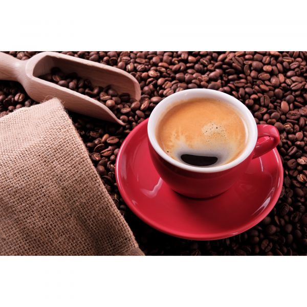 Алмазна мозаїка Strateg ПРЕМІУМ Кавове натхнення розміром 30х40 см (HEG87055)