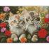 Алмазна мозаїка Strateg ПРЕМІУМ Кошенятки без підрамника розміром 30х40 см (ZAV3040-29)