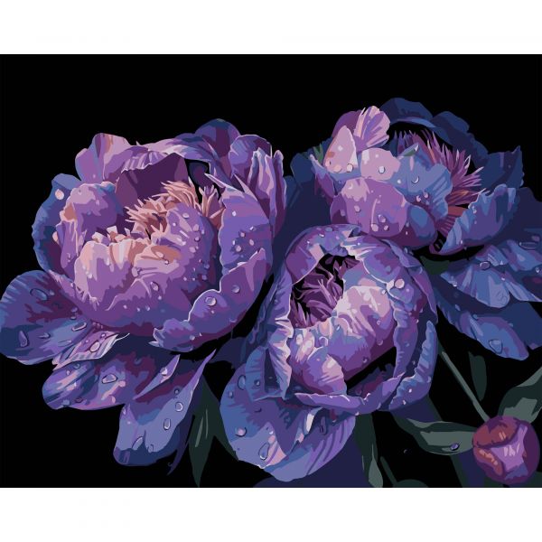 Картина за номерами Strateg ПРЕМІУМ Цвіт сутінків на чорному фоні розміром 40х50 см (AH1157)