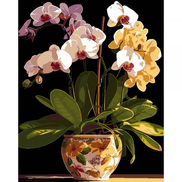 Картина за номерами Strateg ПРЕМІУМ Вазон орхідей на чорному фоні розміром 40х50 см (AH1198)