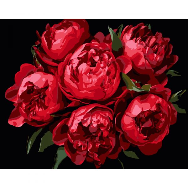 Картина за номерами Strateg ПРЕМІУМ Яскраві півонії на чорному фоні розміром 40х50 см (AH1215-11)
